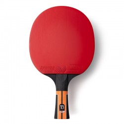 Timo Boll Comfort